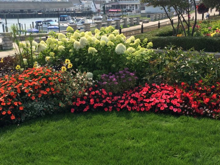 Flower Garden in front lawn | boats in the background